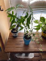 受験は情熱が一番大事さん