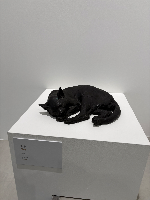 たんのさん
