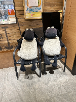 ねぎしさん