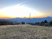 パラプゾシアさん