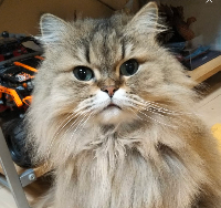 T.Kさん