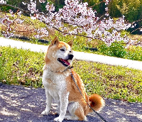ゆうだいさん