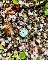 賀井尚太郎さん