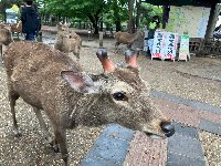 R.Yさん