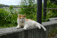IMさん
