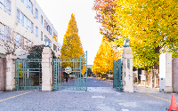 M.Nさん