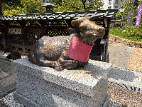物理すきさん