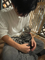 レンタさん