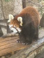 大川聖仁さん