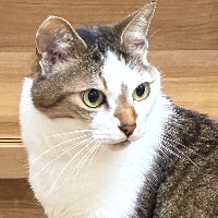 I.Mさん