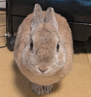 タケさん